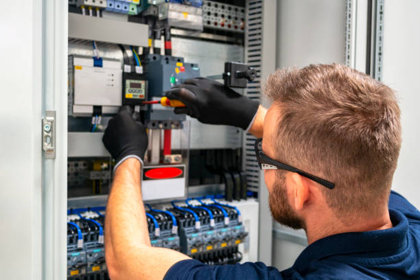 Best Electric Panel Repair  in Torrance, CA